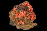 Bright Orange Crocoite Crystal Cluster - Tasmania #106801-1